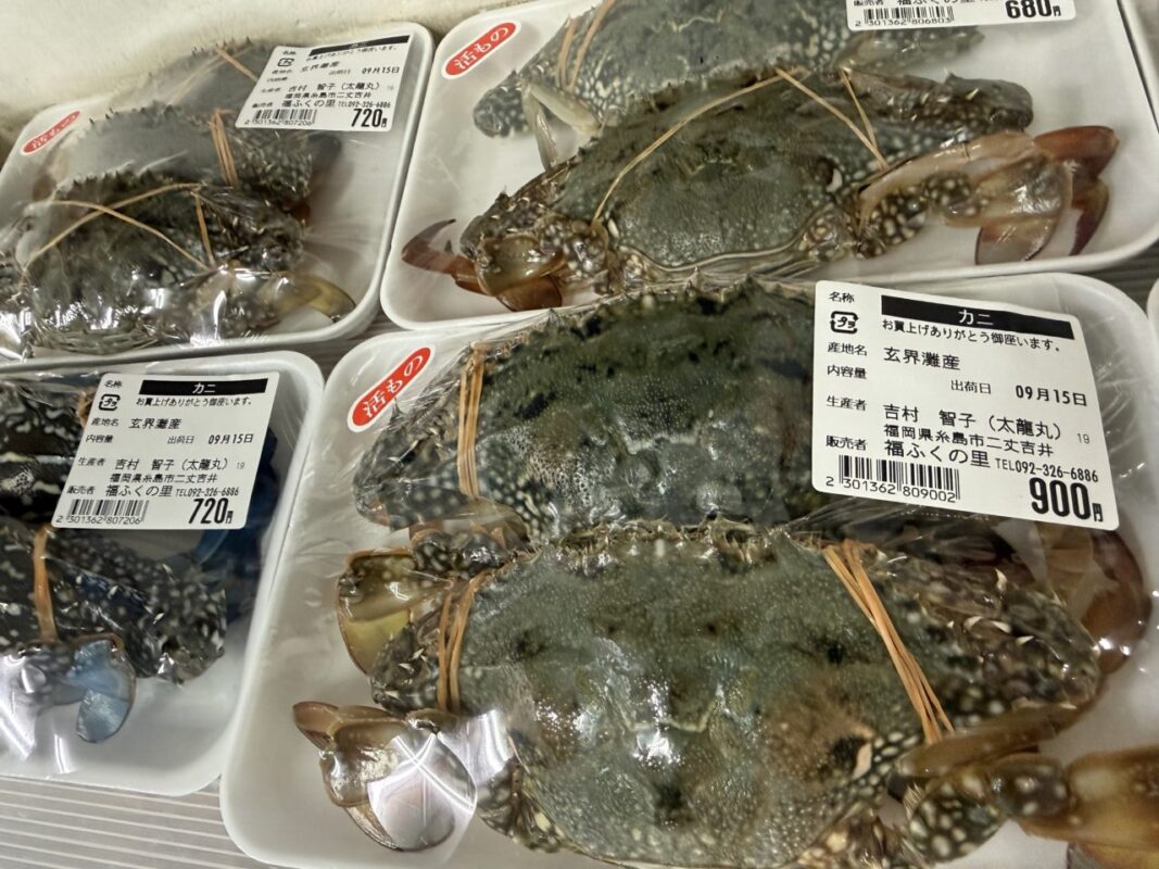 【福岡県糸島市】福ふくの里：二丈福吉の直売所・産直所