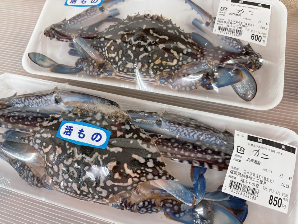 【福岡県糸島市】福ふくの里：二丈福吉の直売所・産直所