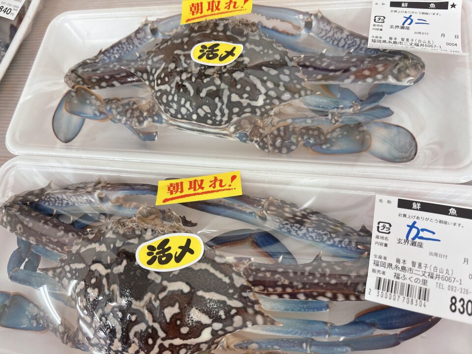 【福岡県糸島市】福ふくの里：二丈福吉の直売所・産直所