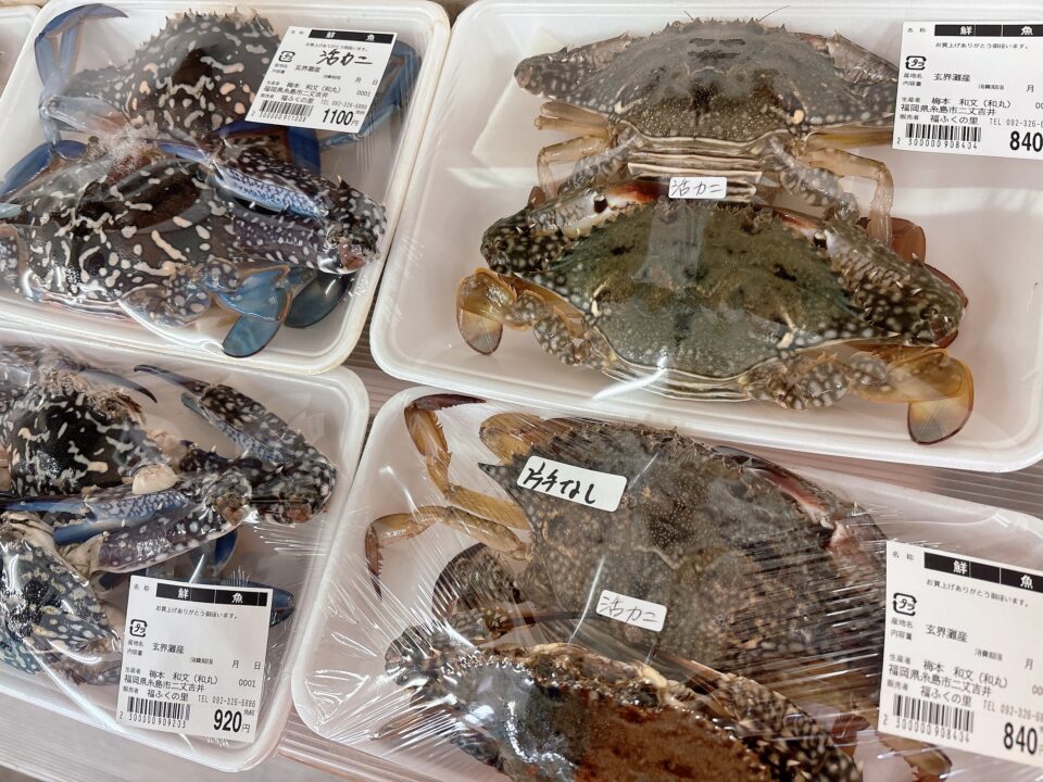 【福岡県糸島市】福ふくの里：二丈福吉の直売所・産直所