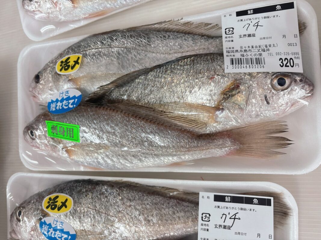 【福岡県糸島市】福ふくの里：二丈福吉の直売所・産直所