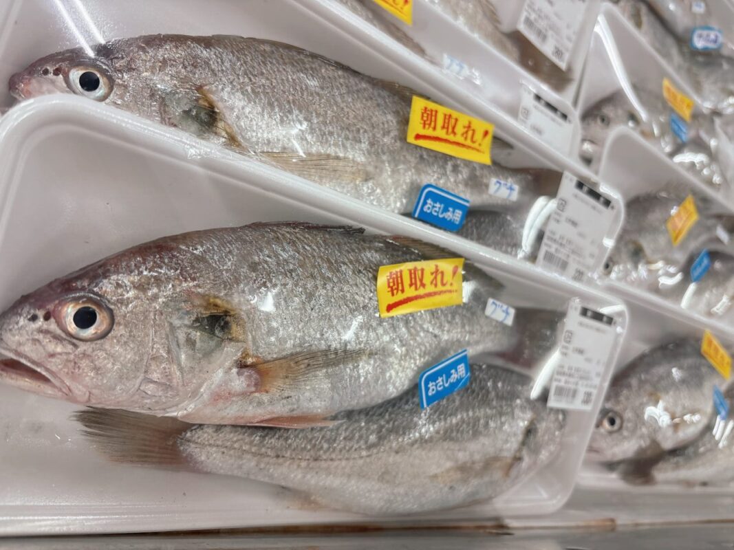 【福岡県糸島市】福ふくの里：二丈福吉の直売所・産直所