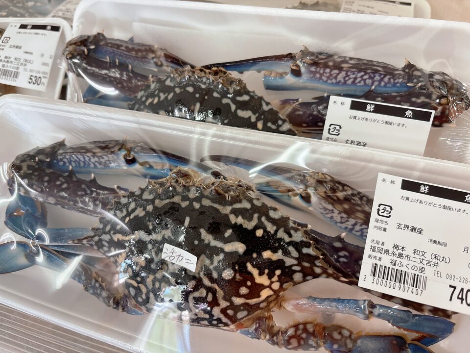 【福岡県糸島市】福ふくの里：二丈福吉の直売所・産直所