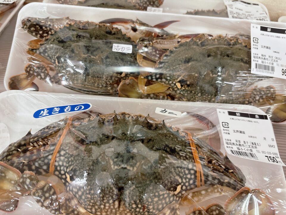 【福岡県糸島市】福ふくの里：二丈福吉の直売所・産直所