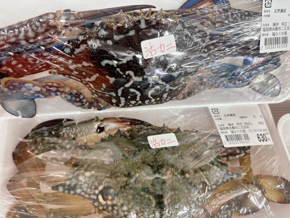 【福岡県糸島市】福ふくの里：二丈福吉の直売所・産直所