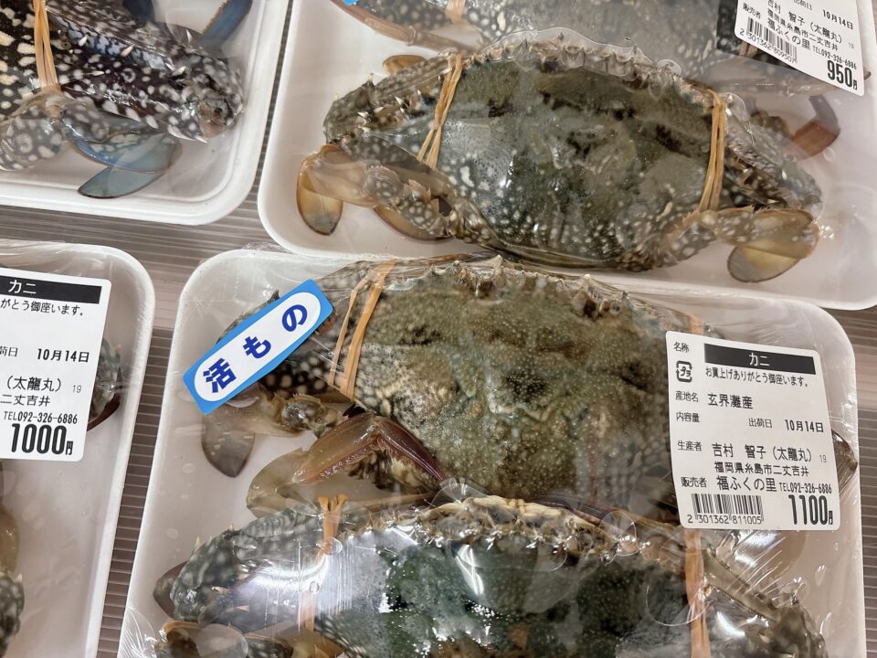 【福岡県糸島市】福ふくの里：二丈福吉の直売所・産直所