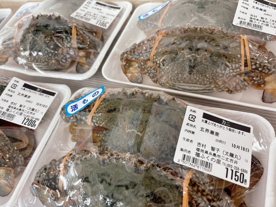 【福岡県糸島市】福ふくの里：二丈福吉の直売所・産直所