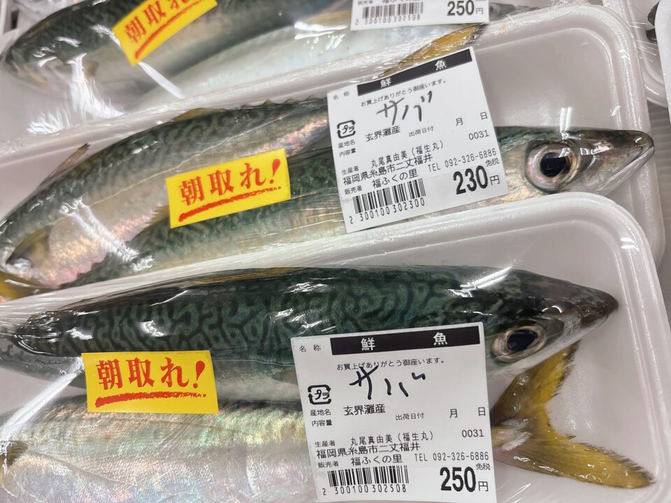 【福岡県糸島市】福ふくの里：二丈福吉の直売所・産直所