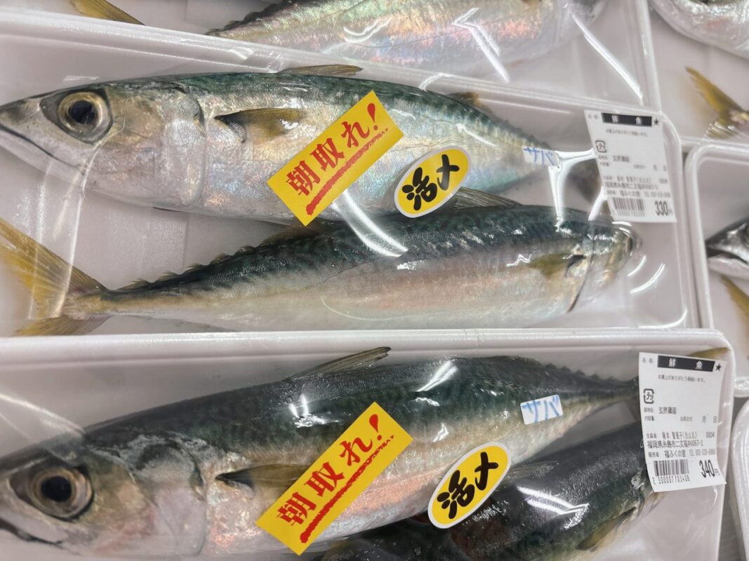 【福岡県糸島市】福ふくの里：二丈福吉の直売所・産直所